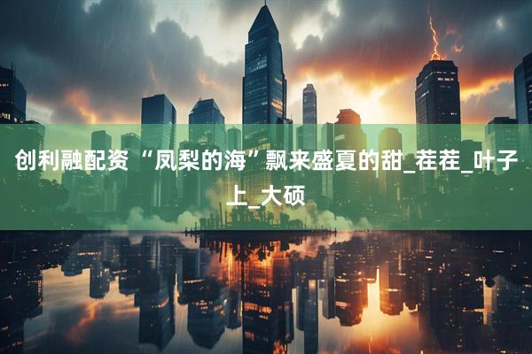 创利融配资 “凤梨的海”飘来盛夏的甜_茬茬_叶子上_大硕