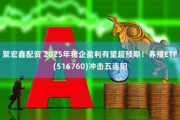 聚宏鑫配资 2025年猪企盈利有望超预期！养殖ETF(516760)冲击五连阳