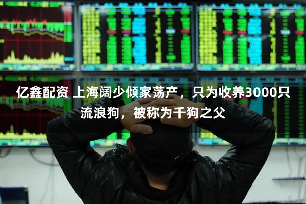 亿鑫配资 上海阔少倾家荡产，只为收养3000只流浪狗，被称为千狗之父